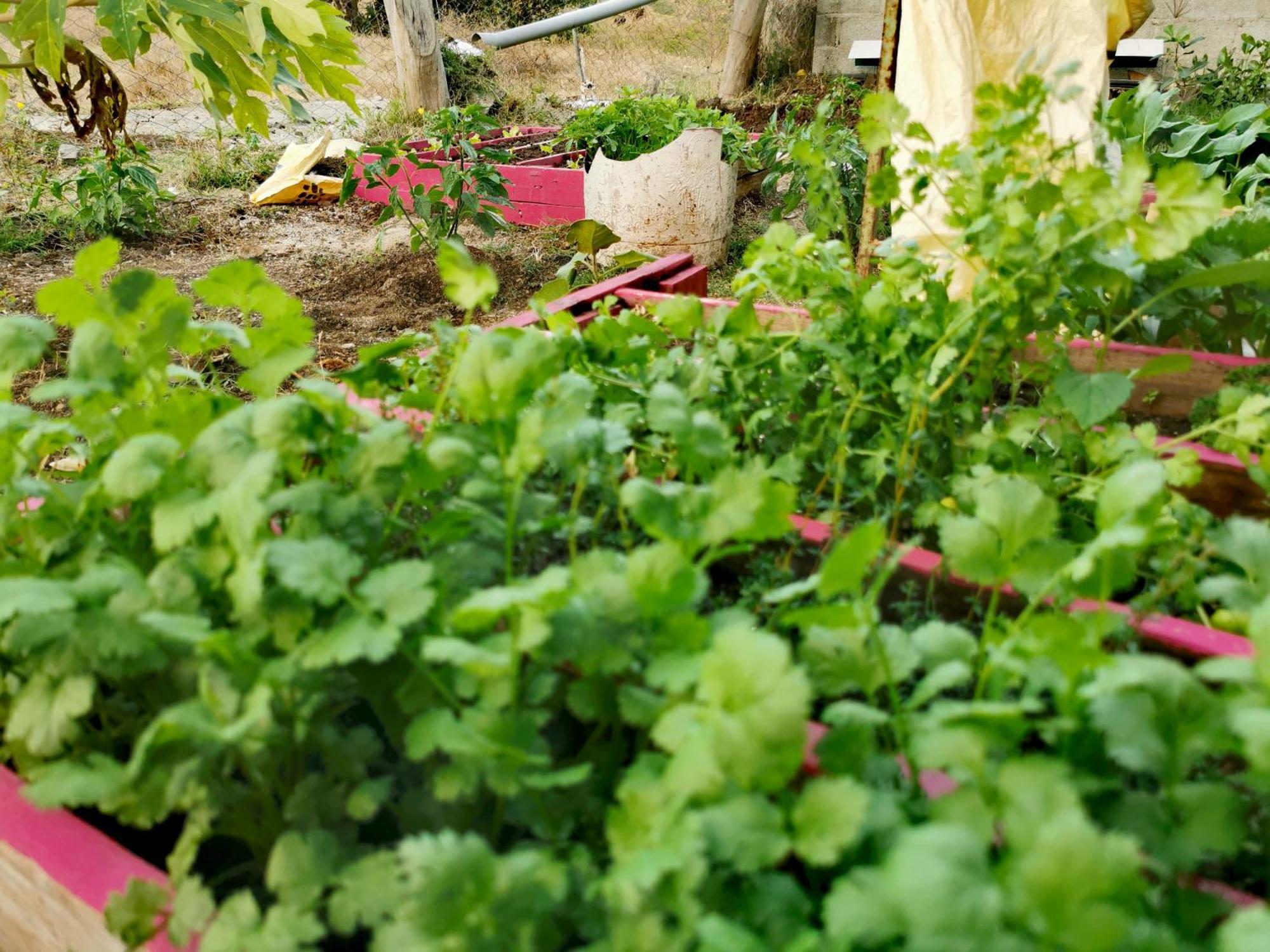 Panoramic Paradise La Ferme Exterior foto